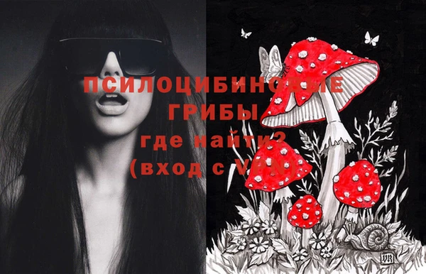 дурь Россошь