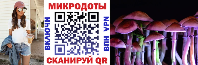 MEGA ONION Боровичи Галлюциногенные грибы мицелий что такое наркотик