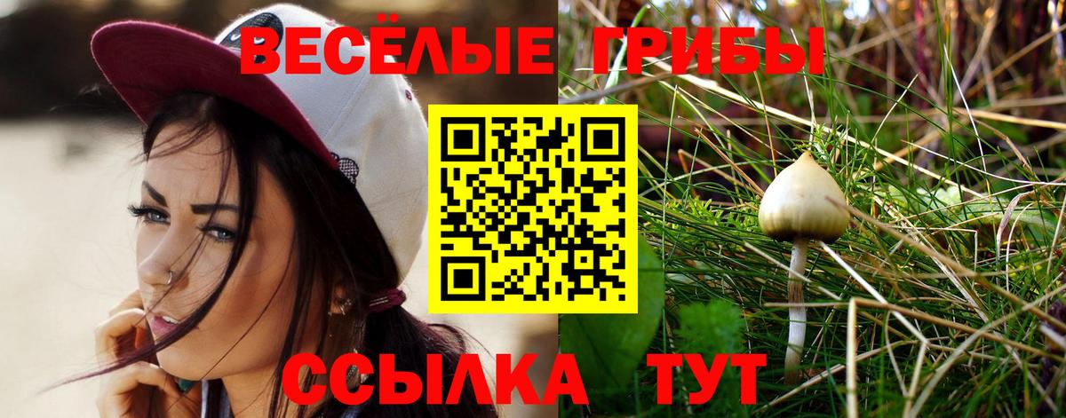 Псилоцибиновые грибы мицелий  Вход с VPN  закладки  Боровичи 